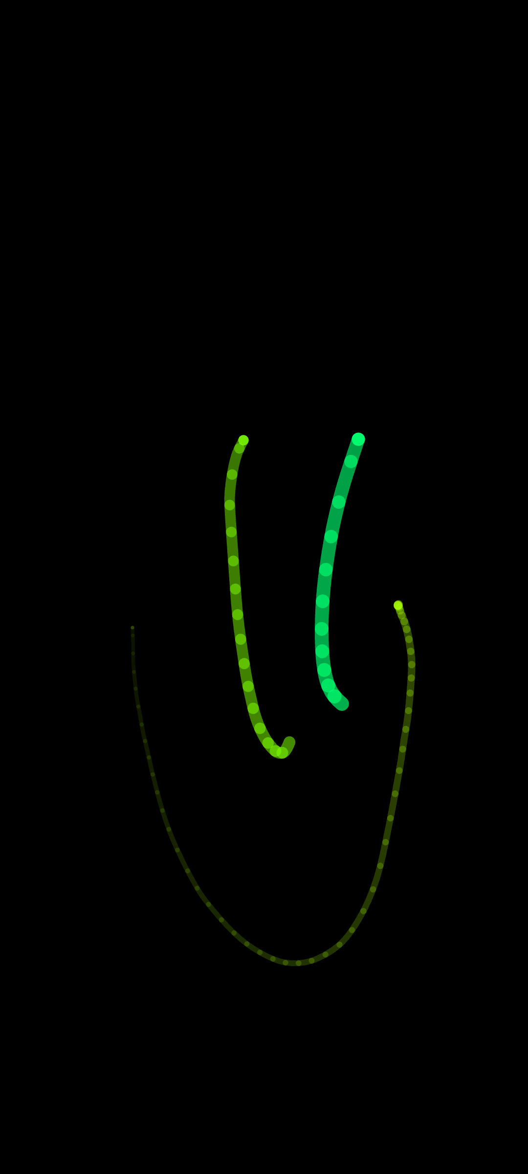 Worm 🐍 screenshot 8